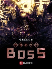 我是新手村BOSS