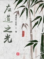 左道之光