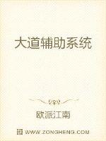 大道辅助系统