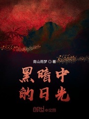 黑暗中的日光