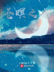苍暝之光