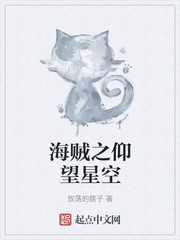 海贼之仰望星空