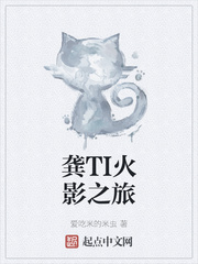 龚TI火影之旅
