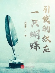 一只蝴蝶引发的效应