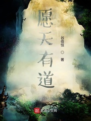 愿天有道
