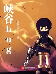 峡谷bug