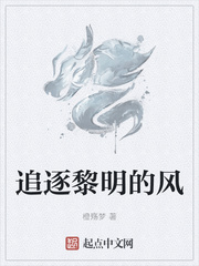 追逐黎明的风