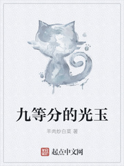 九等分的光玉