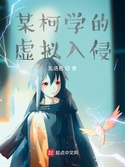 某柯学的虚拟入侵