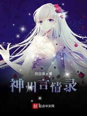 神州言情录