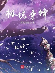 极境争锋