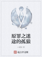 原罪之迷途的孤狼