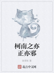 柯南之亦正亦邪