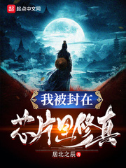 我被封在芯片里修真