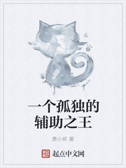 一个孤独的辅助之王
