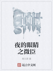 夜的眼睛之微臣