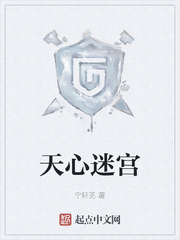 天心迷宫