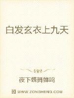 白发玄衣上九天