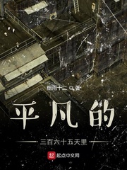 平凡的三百六十五天里