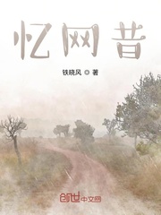 忆网昔