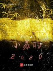 小苏的2020