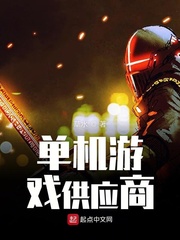 单机游戏供应商