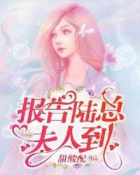 报告陆总，夫人到