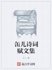 缶儿诗词赋文集