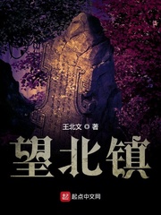 望北镇