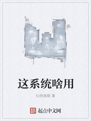 这系统啥用