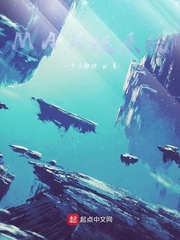 MAX级系统