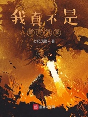 我真不是荒野玩家