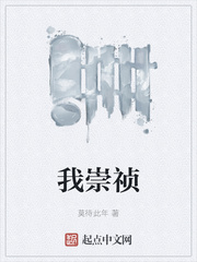 我崇祯