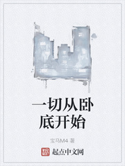 一切从卧底开始