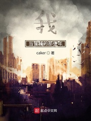 我当警辅的那些年
