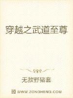 穿越之武道至尊