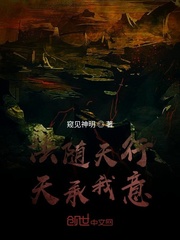 法随天行天承我意