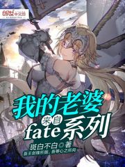 我的老婆来自fate系列
