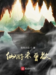 仙游未曾歇