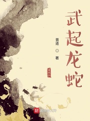 武起龙蛇