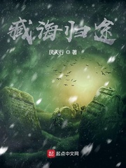 臧海归途