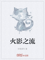 火影之流