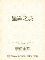 星辉之城