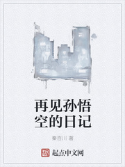 再见孙悟空的日记