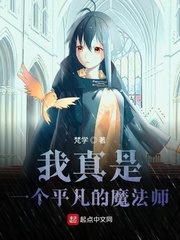 我真是一个平凡的魔法师