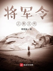 将军令之衡王传