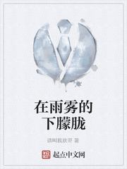 在雨雾的下朦胧