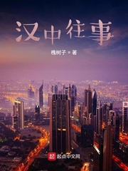 汉中往事