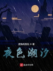 夜色潮汐