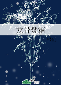 龙骨焚箱